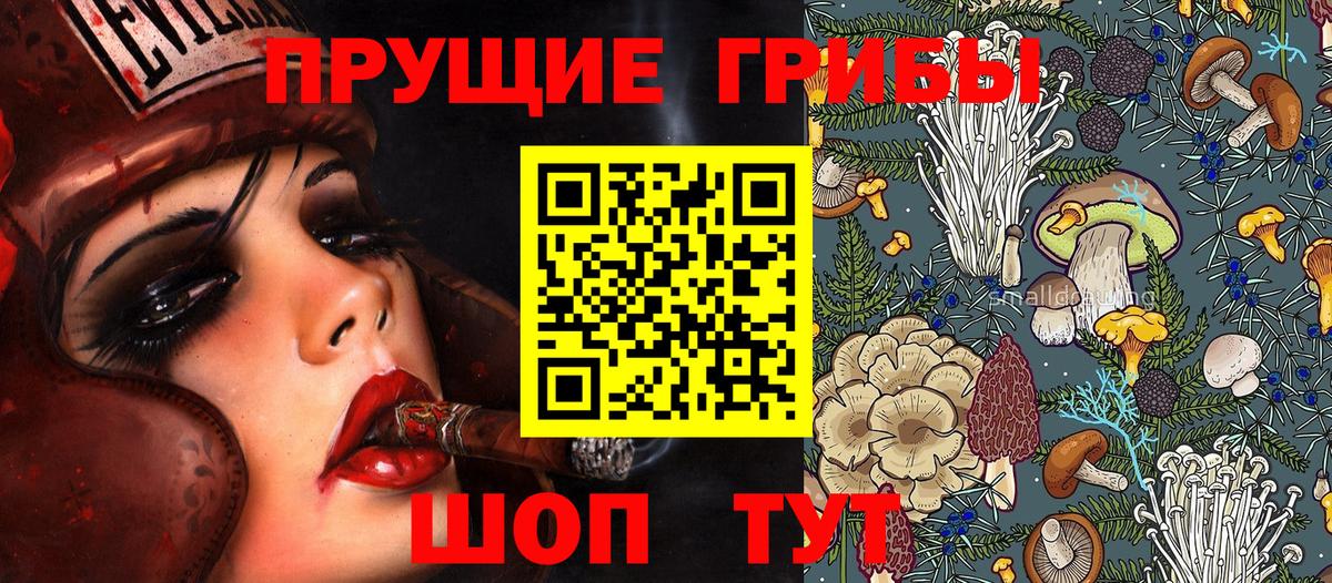 Галлюциногенные грибы Psilocybe  Вход с VPN  Урус-Мартан 